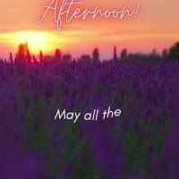 Que todas as bênçãos da vida se tornem diárias e que venham sempre com doses de alegria e satisfação! Boa tarde!