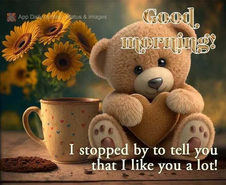 Passei aqui para dizer que gosto muito de você! Bom dia! 