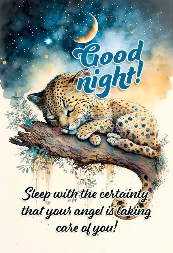 Sleep with the certainty that your angel is taking care of you! Good night!