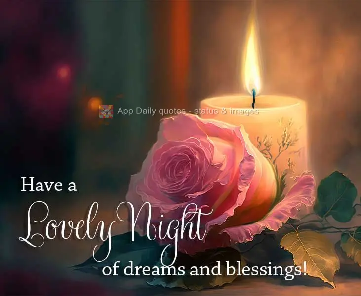 Tenha uma Linda noite de sonhos e bênçãos!