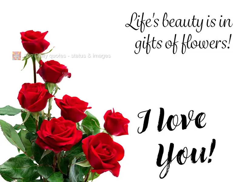 A beleza da vida está nas flores oferecidas! Eu te amo!