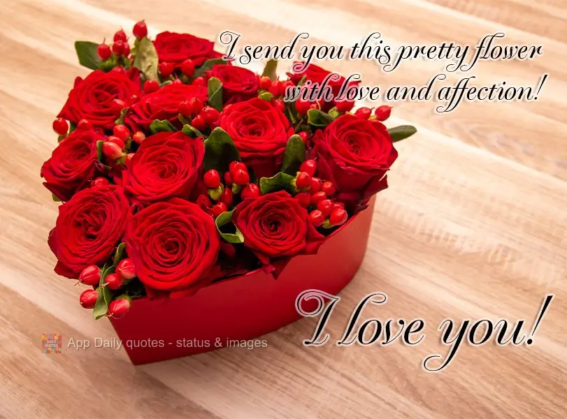 Com carinho e com amor lhe entrego uma linda flor! Amo você!