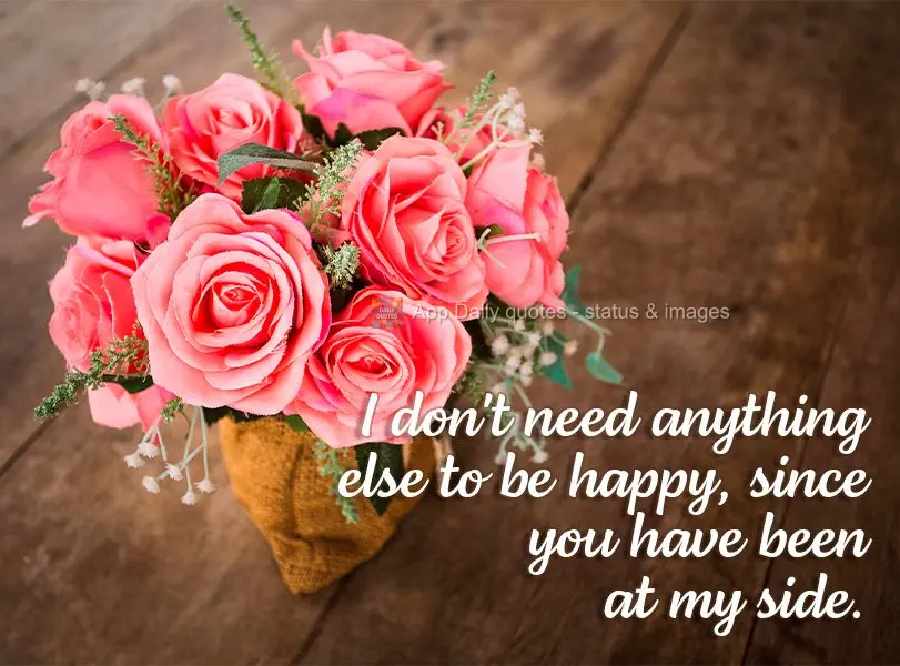 Não preciso de mais nada para ser feliz, desde que você esteja ao meu lado.