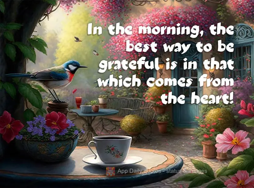 Pela manhã a melhor forma de gratidão é aquela que vem do coração!