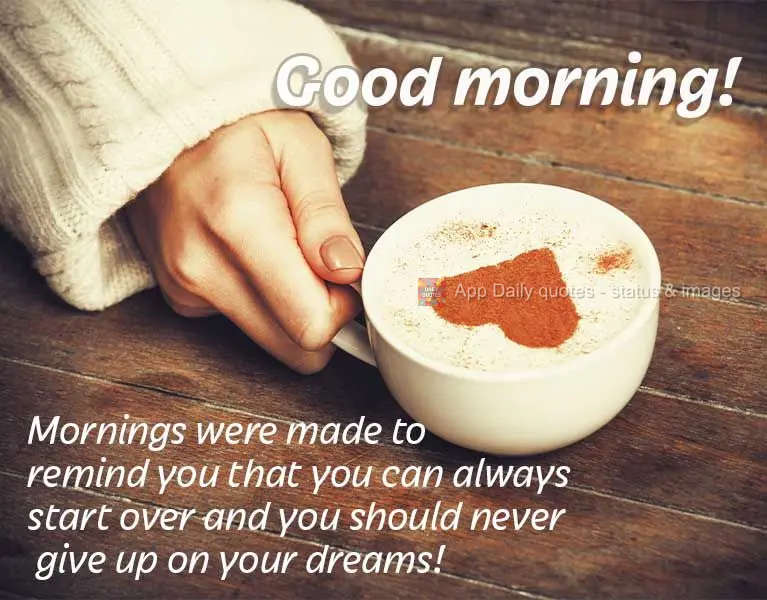 As manhãs foram feitas para lembrar você que sempre podemos recomeçar e nunca desistir de nossos sonhos! Bom dia!
