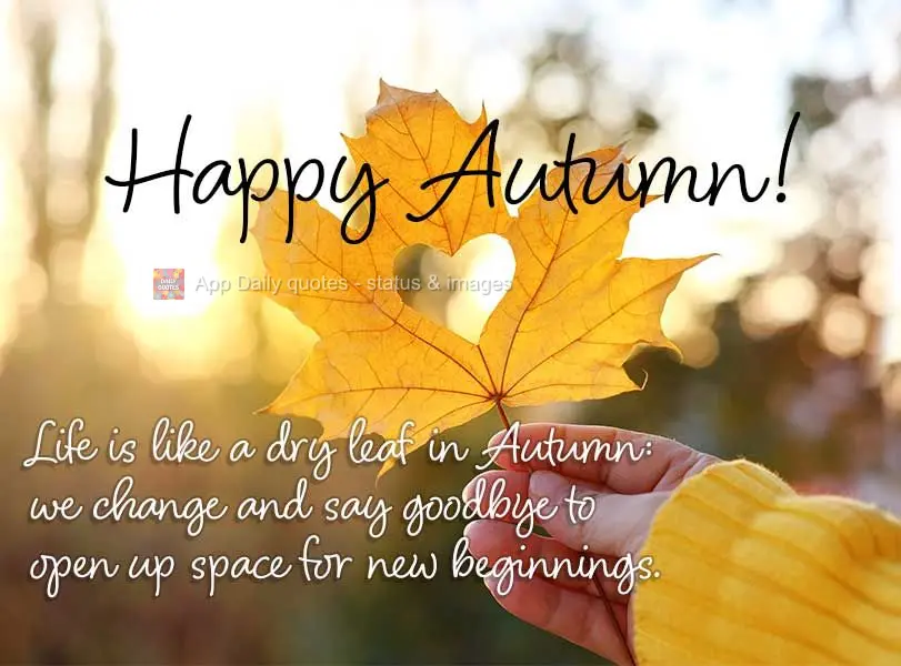 A vida é como uma folha seca no outono: mudamos e nos despedimos para abrir espaço para novos começos. Feliz Outono!