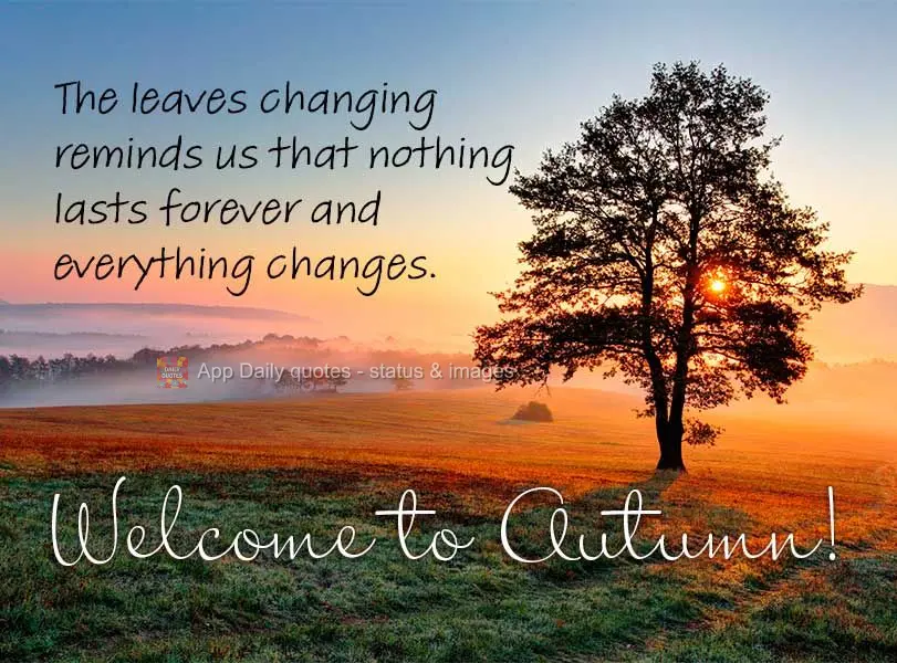 A mudança das folhas nos lembra que nada dura para sempre e que tudo passa. Bem-Vindo ao Outono!