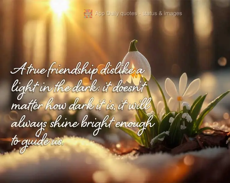 A true friendship is like a light in the dark: it doesn't matter how dark it might get, it will always shine bright enough to guide us.