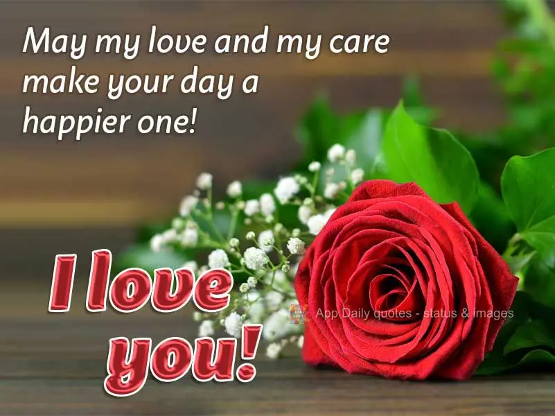 Que o meu amor e meu carinho possa fazer do seu dia mais feliz! Eu te amo!