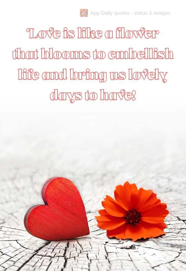 Love is like a flower that blooms to spruce up life and give us lovely days to enjoy!