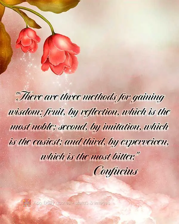 "There are three methods for gaining wisdom: first, by reflection, which is the most noble; second, by imitation, which is the easiest; and third, by exp...