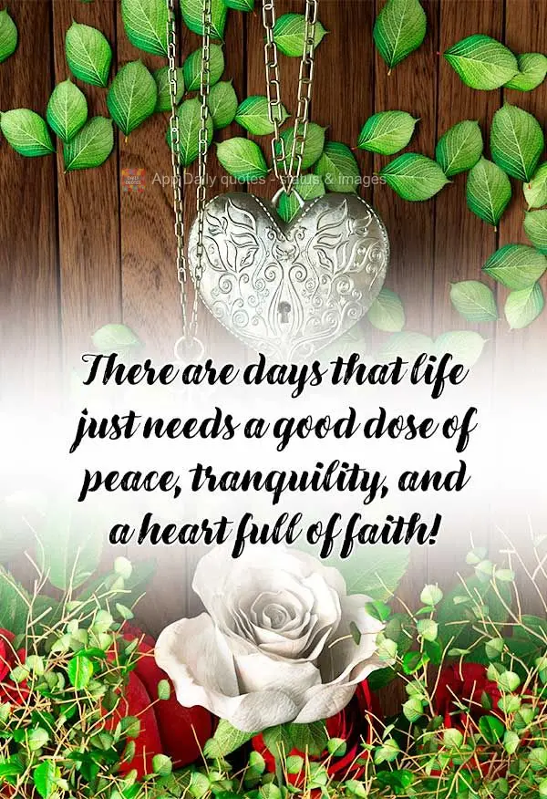 There are days that life just needs a good dose of peace and tranquility and a heart full of faith!