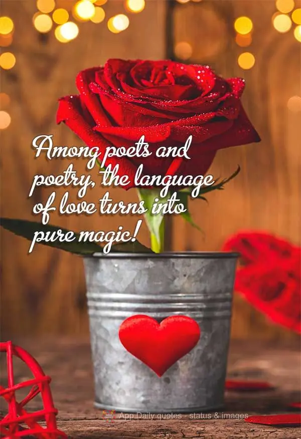 Among poets and poetry, the language of love turns into pure magic!