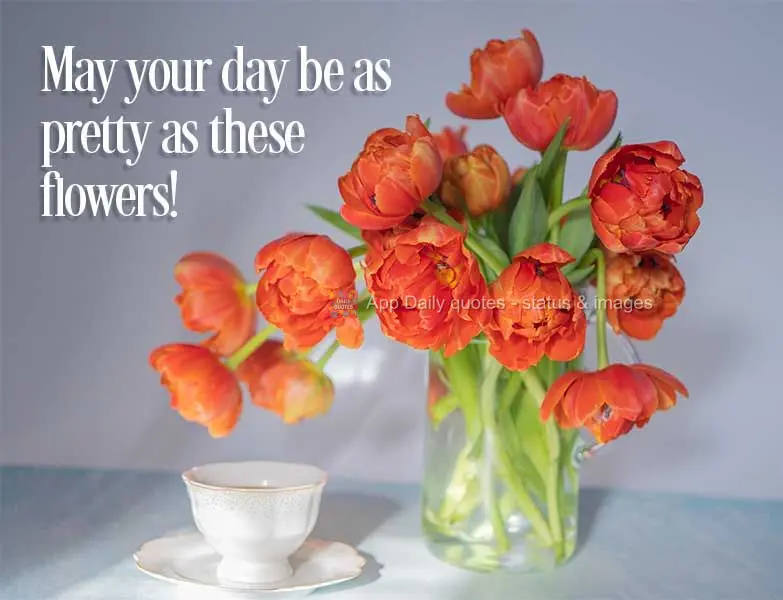 Que seu dia seja lindo assim como essas flores!