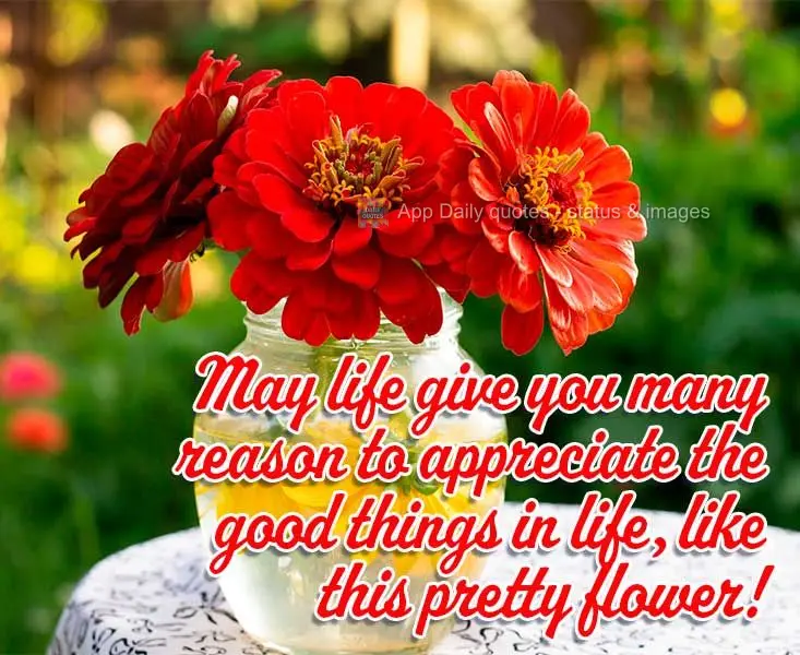 Que a vida lhe dê motivos para apreciar as coisas belas da vida como esta linda flor!