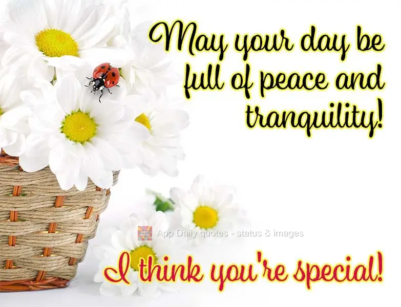 May your day be full of peace and tranquility! I think you're special!