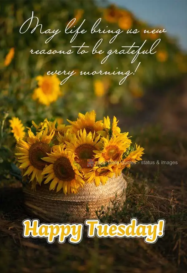 Que a vida traga novos motivos para nos fazer sentir gratidão todas as manhãs! Feliz Terça-feira!