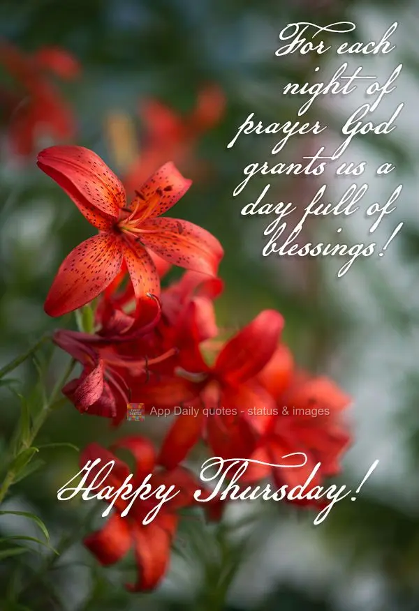 For each night of prayer God grants us a day full of blessings! Happy Thursday!