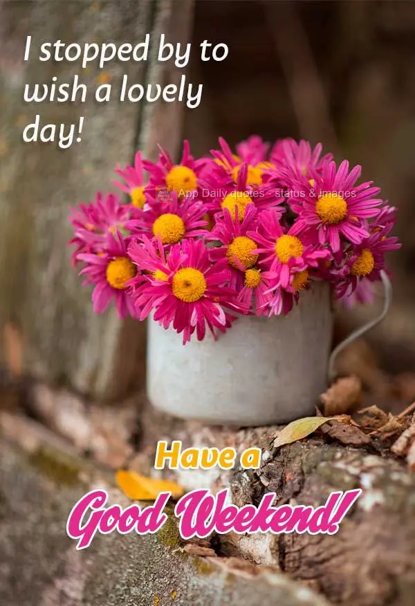 I stopped by to wish you a lovely day! Have a Good Weekend!