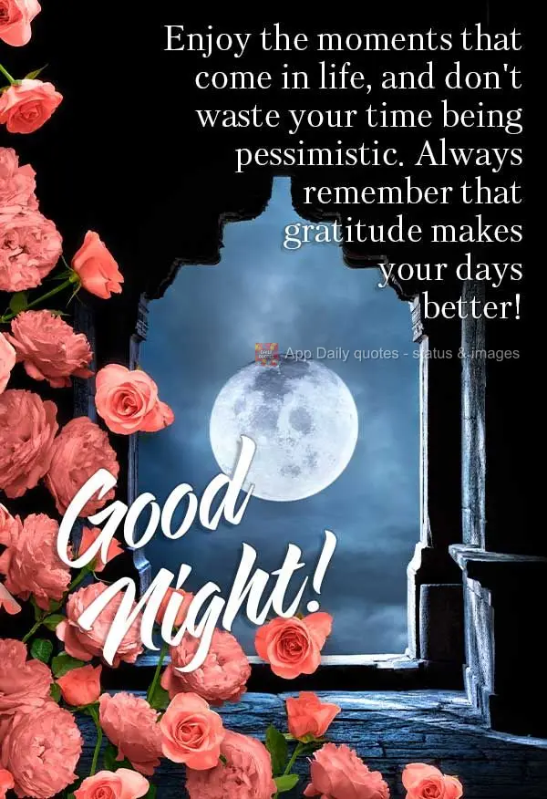 Enjoy the time you are given in life and don't waste your time being pessimistic. Always remember that gratitude makes your days better! Good night!