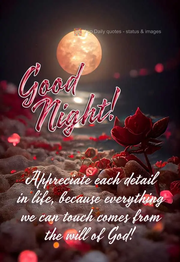 Appreciate each detail in life, because everything we touch comes from the will of God! Good night!