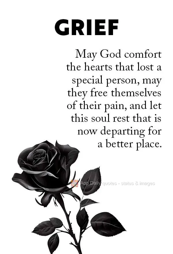 Que Deus conforte os corações daqueles que perderam uma pessoa especial, que possam emancipar-se de suas dores e deixar descansar essa alma que agora e...