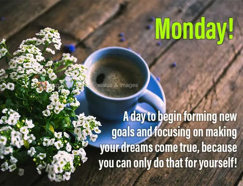 Dia de começar traçando novas metas e focando na realização de seus sonhos, porque só pode fazer isso por si mesmo! Segunda-feira! 