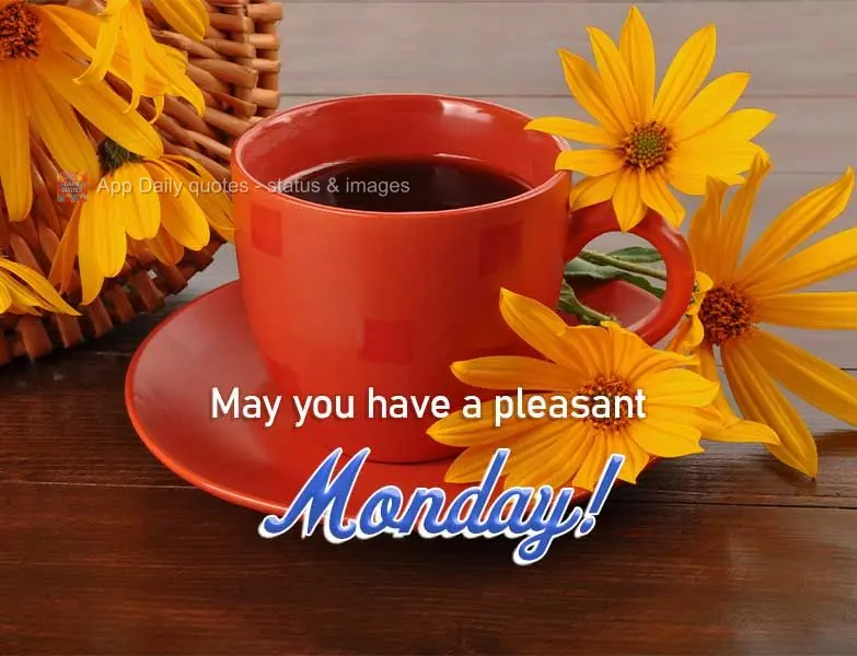 Que seja uma agradável Segunda-feira!
