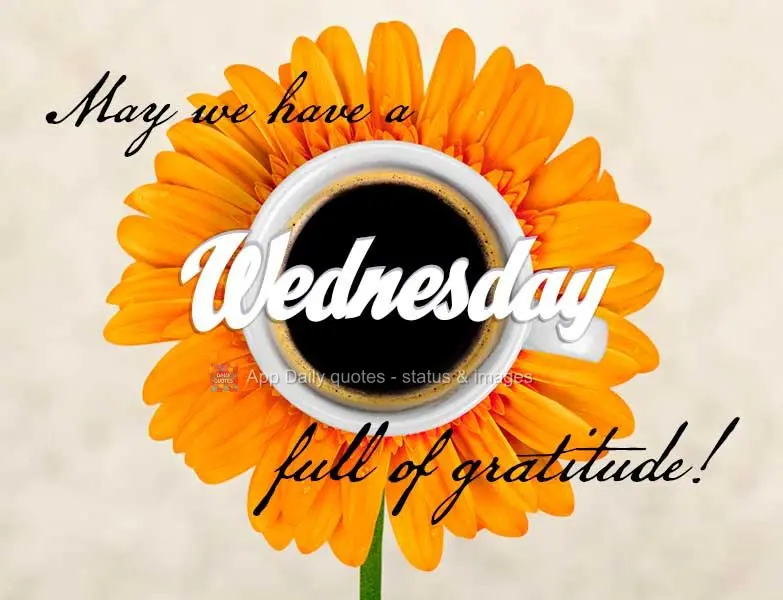 Que tenhamos uma Quarta-feira de gratidão!