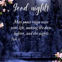 Que a paz possa prevalecer em sua vida, deixando os dias mais leves e as noites cheias de esperanças. Que Deus possa aquecer o seu coração com seu amo...