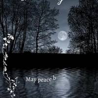 Que a paz esteja com você nesta noite transformando todas as angústias da vida em bênçãos! Boa noite!