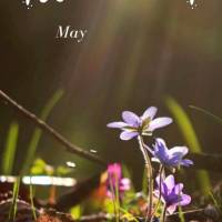 Que seja um dia tranquilo e que a paz do Senhor esteja com você! Bom dia!