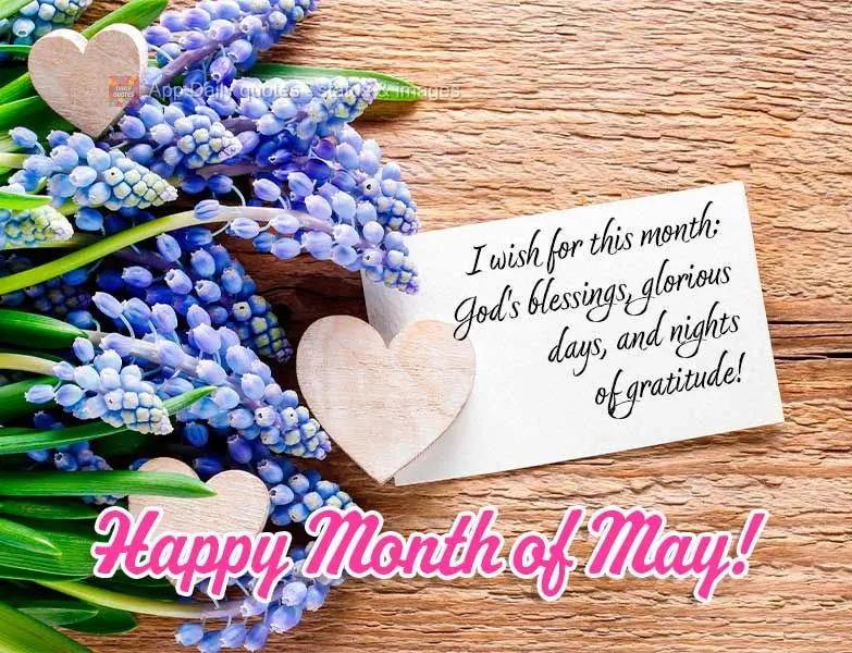 I wish for this month: God's blessings, glorious days, and nights of gratitude! Happy Month of May!