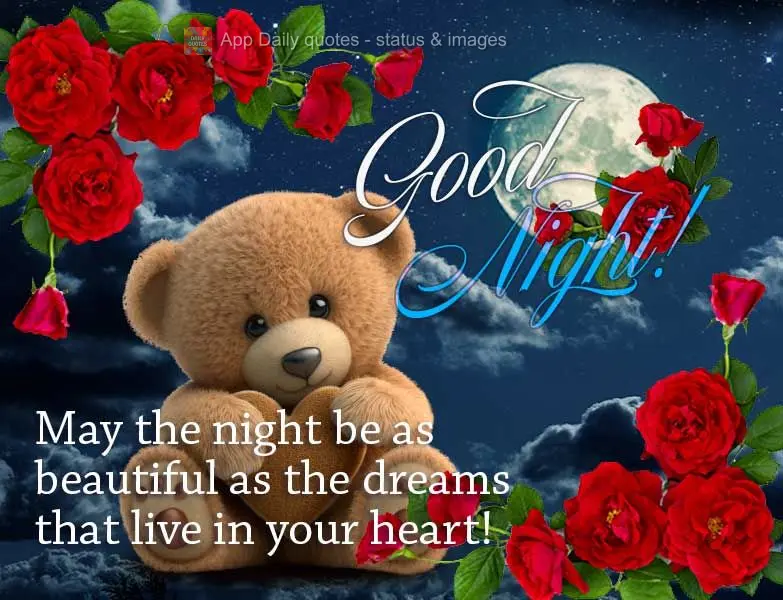Que a noite seja tão linda quanto os sonhos que moram em seu coração! Boa noite!