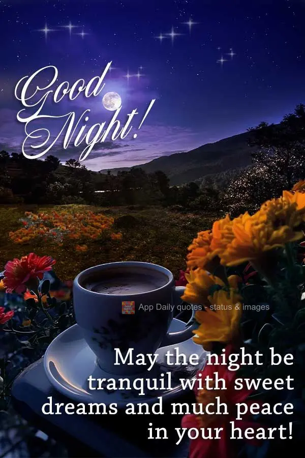 May the night be tranquil with sweet dreams and much peace in your heart! Good night!