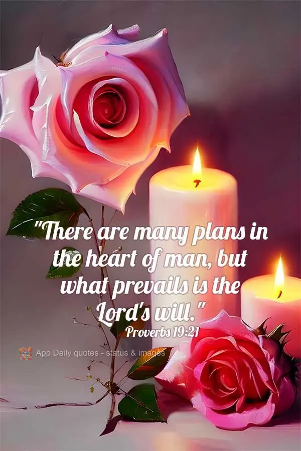 "There are many plans in the heart of man, but what prevails is the Lord's will." Proverbs 19:21