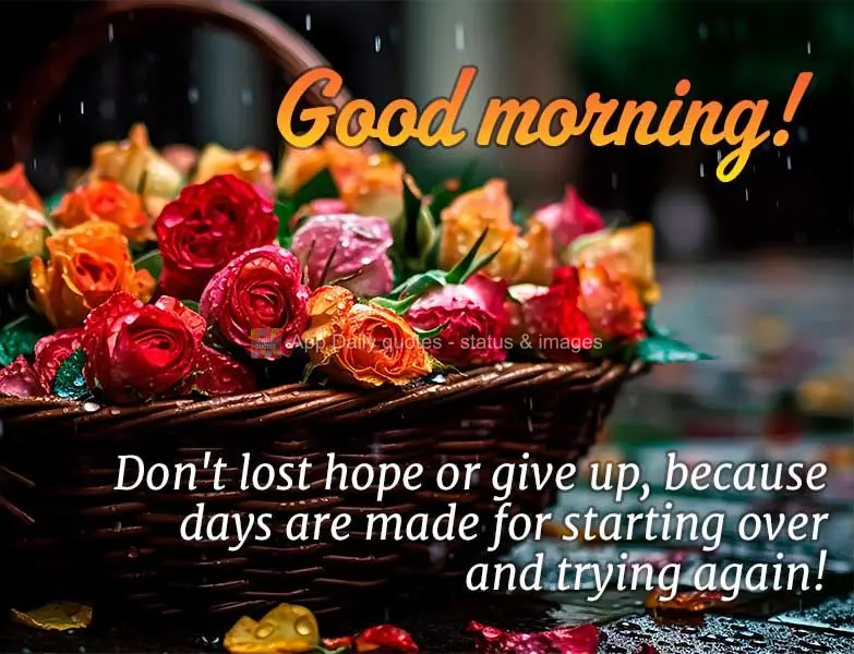 Don't lost hope or give up, because days are made for starting over and trying again! Good morning!