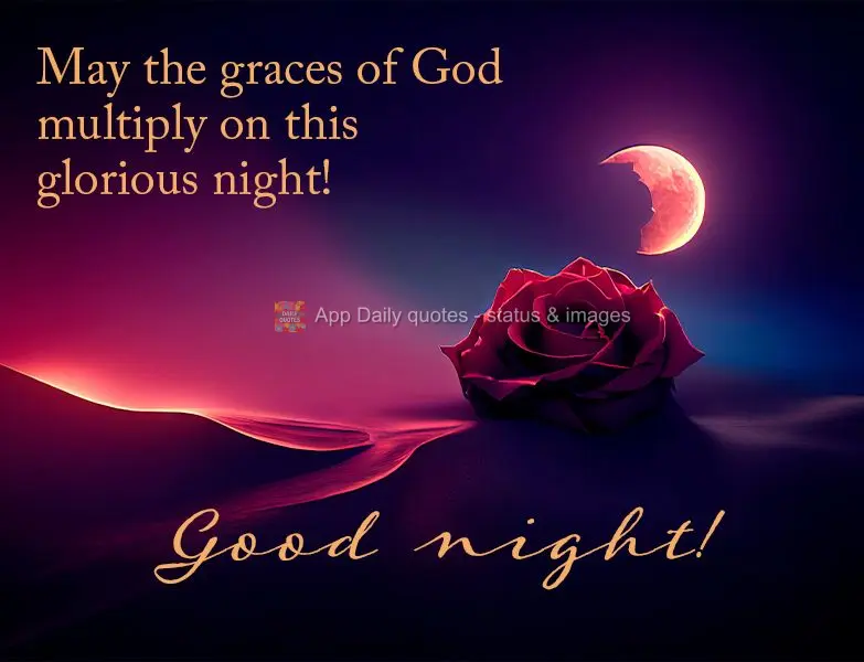 Que as graças de Deus se multipliquem nesta gloriosa noite! Boa noite!