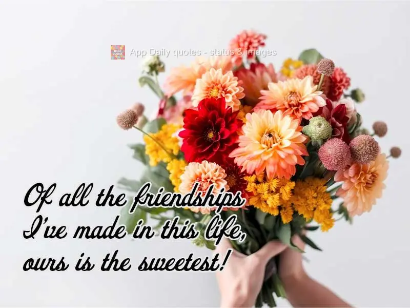 De todas as amizades que fiz na vida, a sua é a mais bonita!