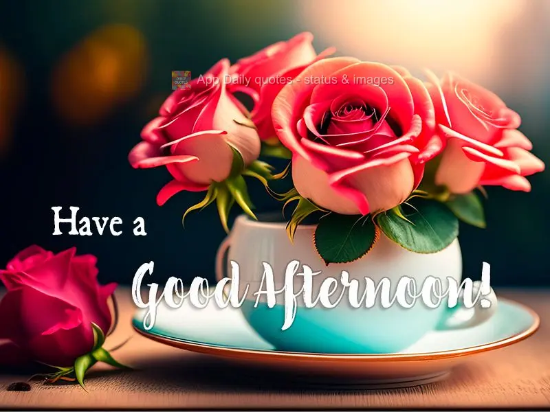 Tenha uma boa tarde!