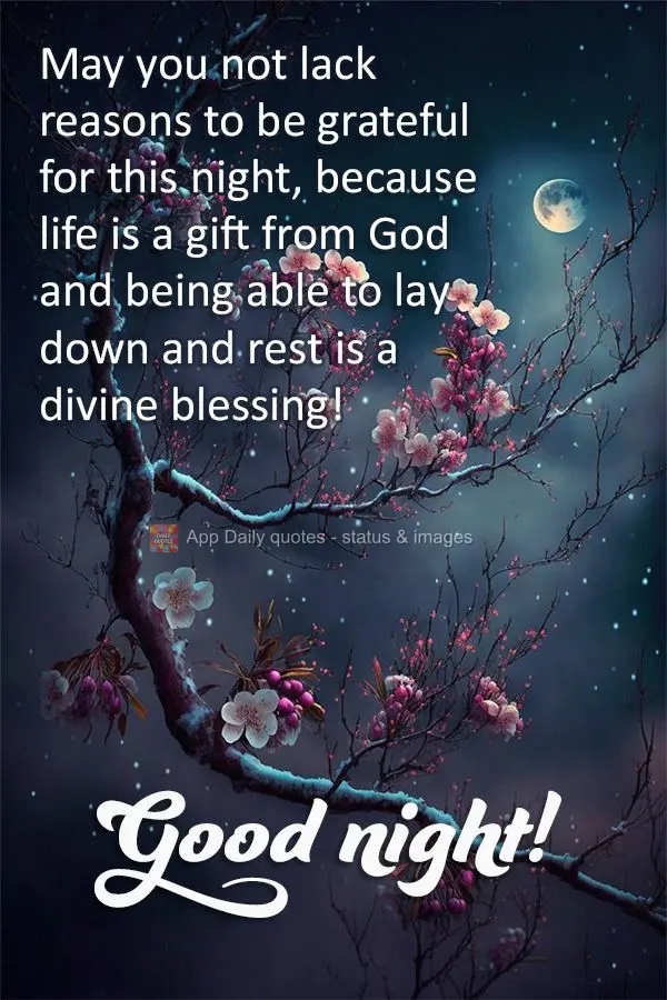 May you not lack reasons to be grateful for this night, because life is a gift from God and being able to lay down and rest is a divine blessing! Good ni...