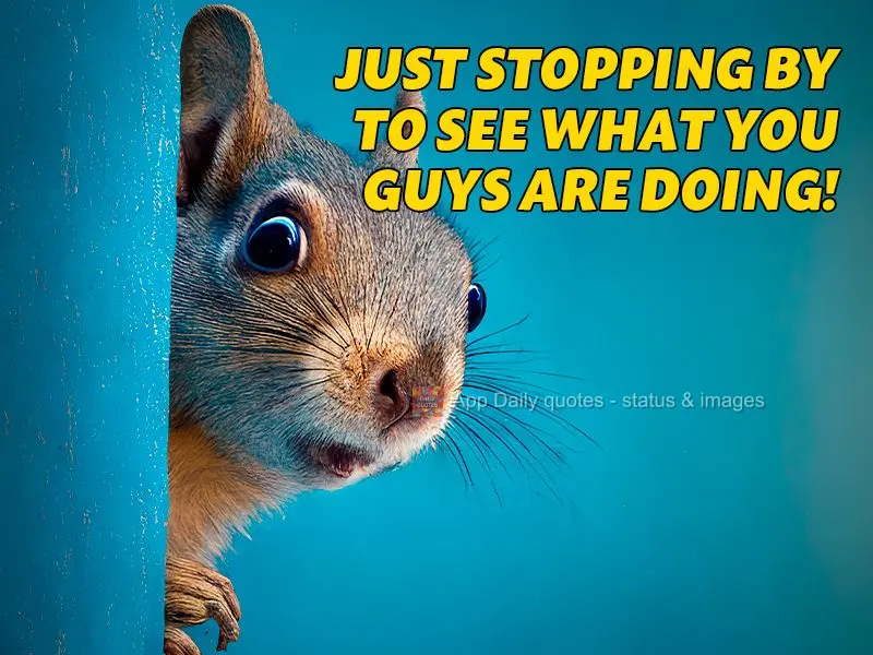 Just stopping by to see what you guys are doing!