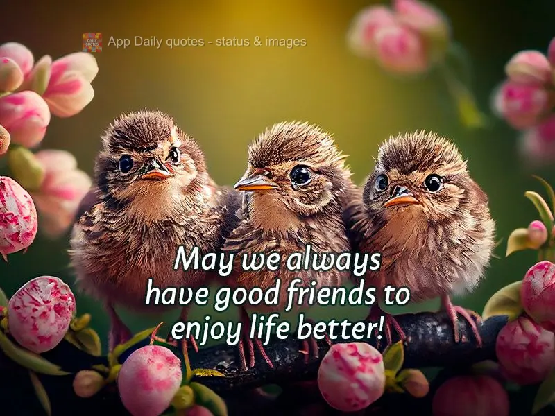 Que possamos sempre ter boas amizades para aproveitar o melhor da vida!