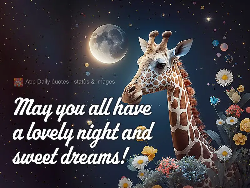 Que tenham uma linda noite e doce sonhos!