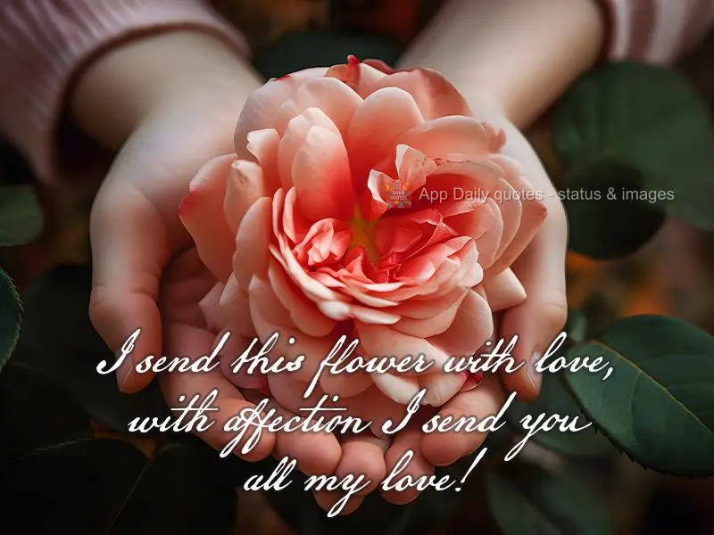 Com carinho lhe entrego uma flor, com carinho lhe entrego todo o meu amor!