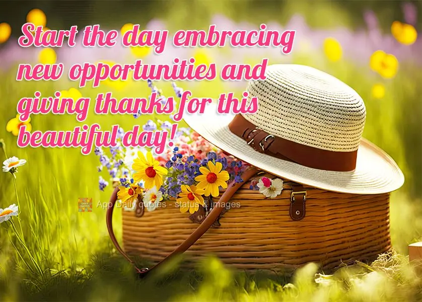 Comece o dia abraçando novas oportunidades e agradecendo por este lindo dia!