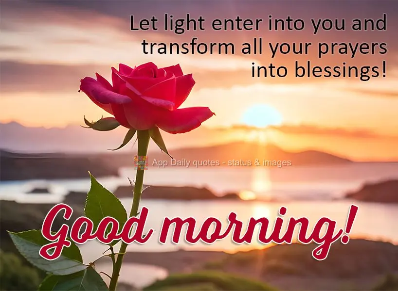 Permita que a luz entre em você e transforme todas as preces em bênçãos! Bom dia!