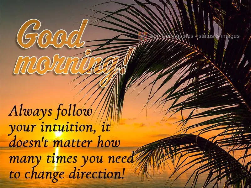 Siga sempre a sua intuição, não importa quantas vezes vai ser preciso trocar de direção! Bom dia!