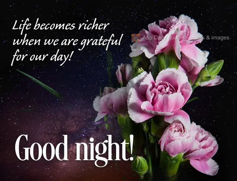 A vida se torna mais rica quando a gente agradece pelo nosso dia! Boa noite!