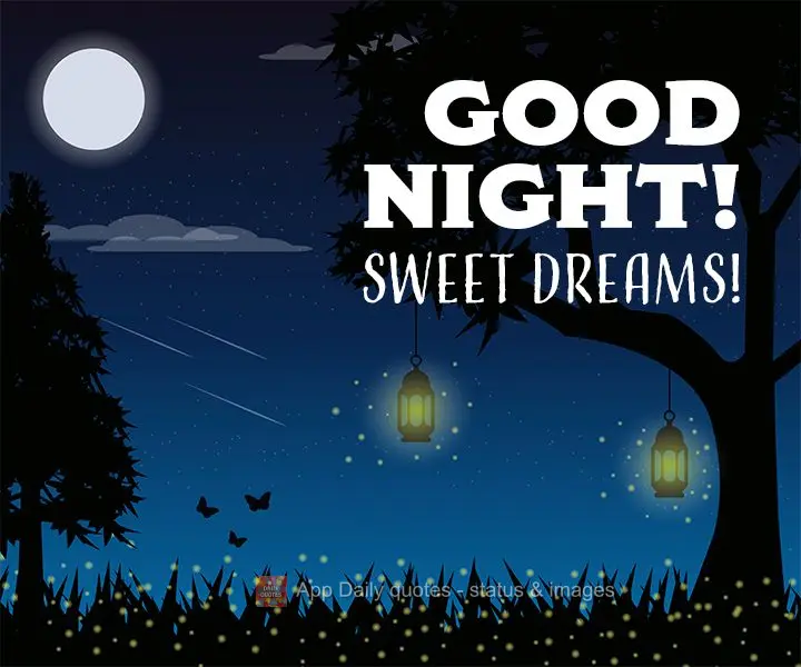 Good night! Sweet dreams!